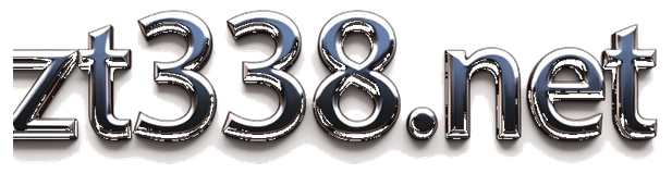 zt9398.net logo